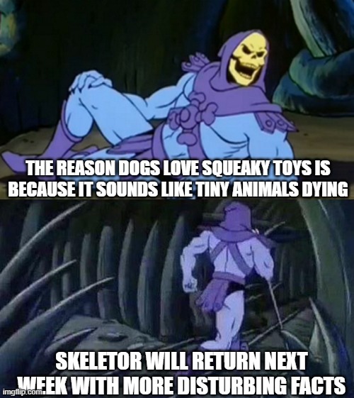The reason why dogs love squeaky toys - meme