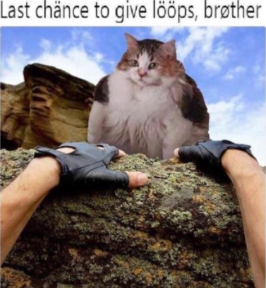 Loops cat died :sadge: - meme