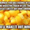 Bye corn. See ya later.