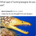 Wholesome lasaga
