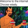 Welcome to the Internet: an awesome combination of memes and porn!