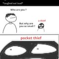 Pocket Theif
