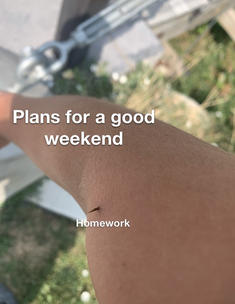 I hate homework - meme