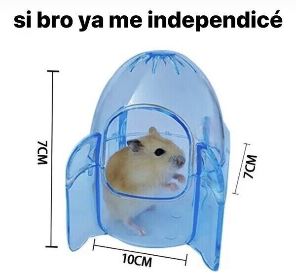 meme de independizarse
