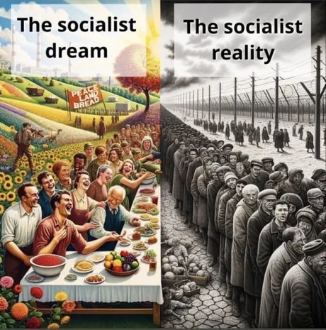 The socialist dream - meme