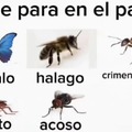 MemeDroider (Cucaracha)