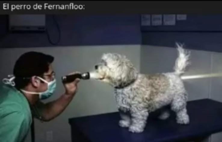 Repost o no me rei - meme