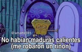 NO SOY PAJERO GENTE NO ENCONTRE UN BUEN MEME SOLON ESTE