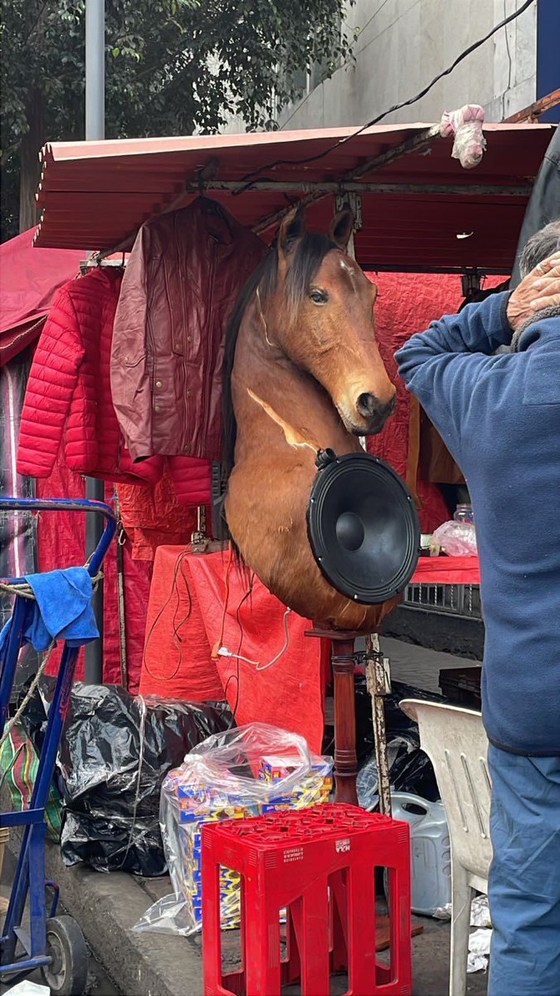 horse stereo - meme