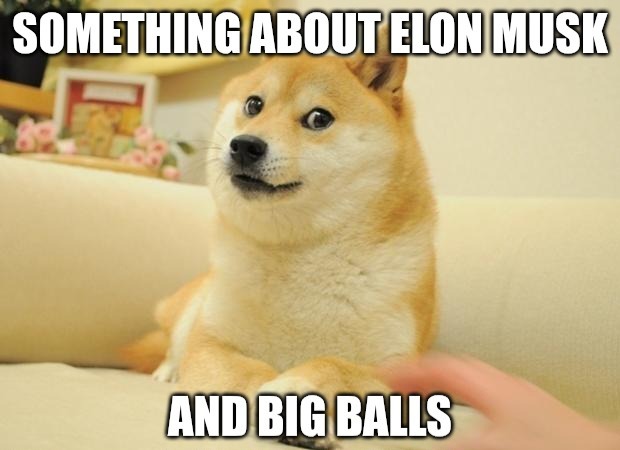 DOGE right? - meme