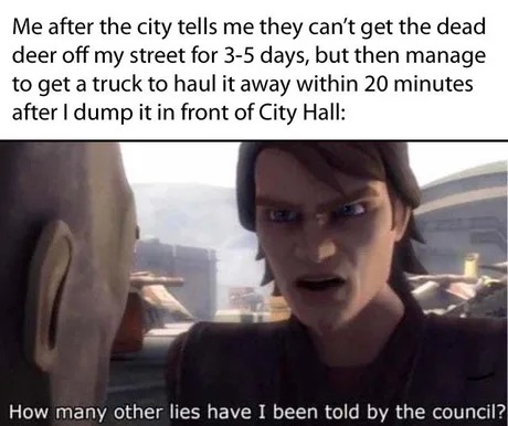 Deer accident meme
