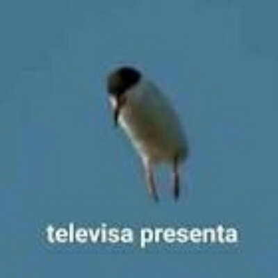 Televisa Presenta - meme