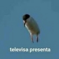 Televisa Presenta