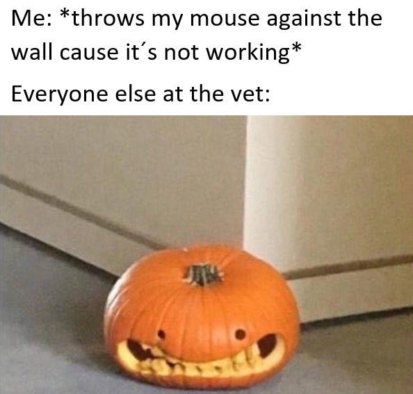 Never too late for spooky themed memes