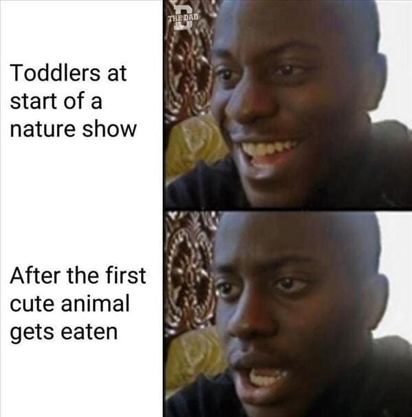 Laughing at a nature show - meme