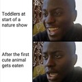 Laughing at a nature show