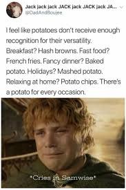 As a person with Irish ancestry this hurts how Samwise Gamgee wasn't able to talk more about po-ta-toes. - meme
