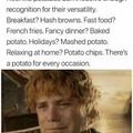 As a person with Irish ancestry this hurts how Samwise Gamgee wasn't able to talk more about po-ta-toes.