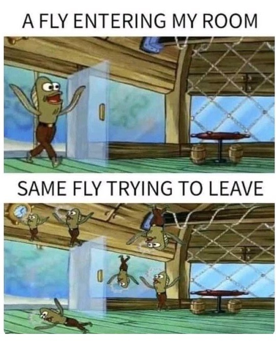 The Fly - meme