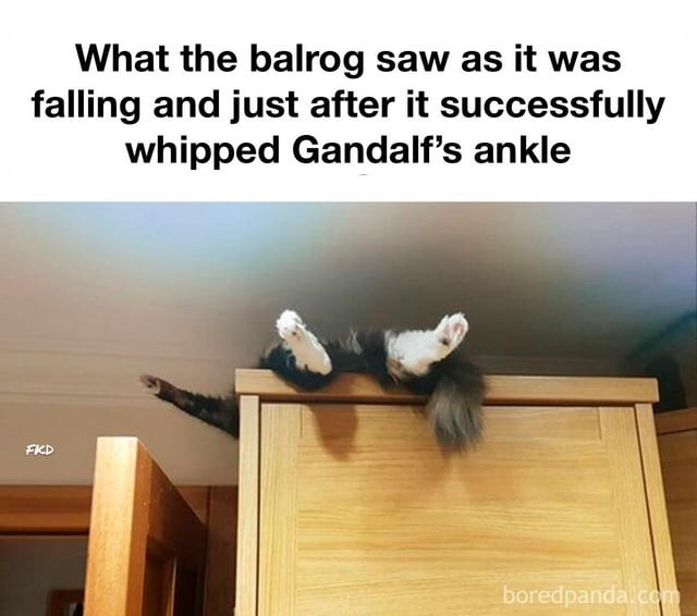 Balrog’s POV: got him by the ankle - meme