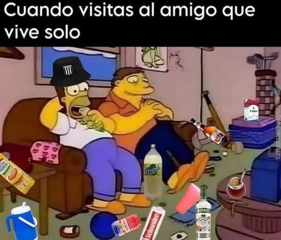 cuando visitas al colega que vive solo y la casa huele a supervivencia - meme