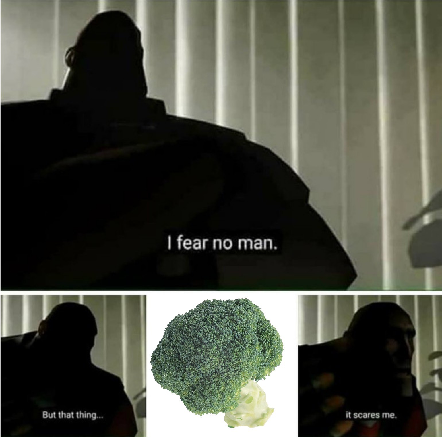 Absolutely hate broccoli - meme 