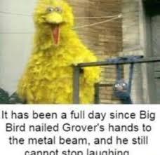 Biggie Birdy - meme