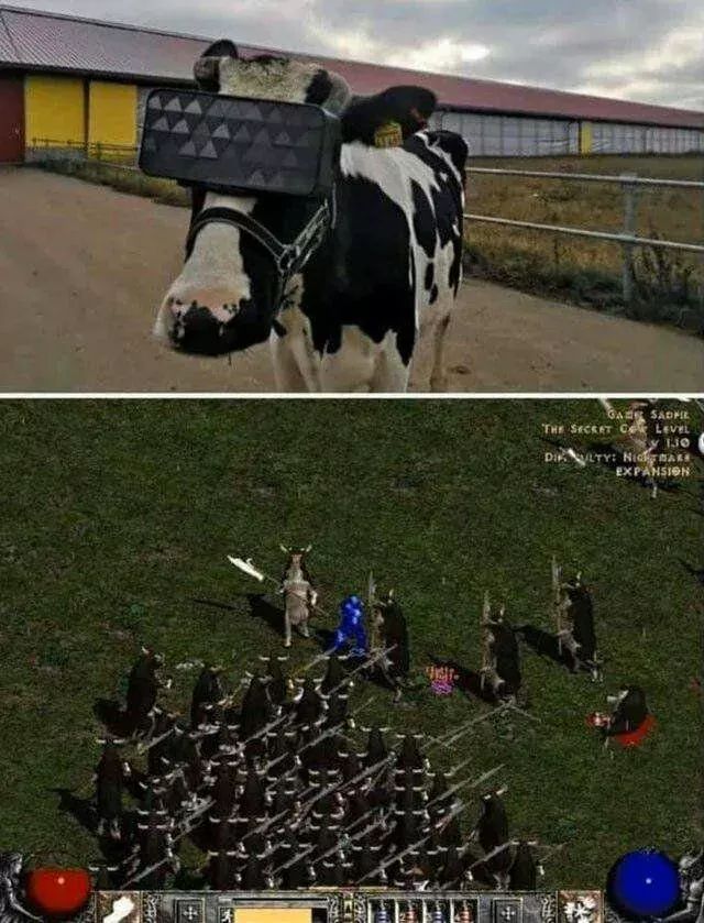 there is no cow level - meme