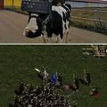 there is no cow level
