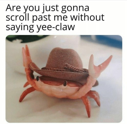 Yee-Claw! - meme