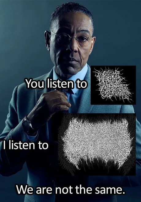 Metal bands be like - meme