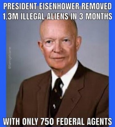 I like Ike. - meme