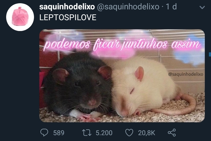 Rato = love - meme