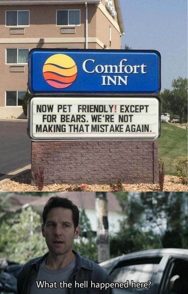 Welcome to Comfort Inn, now pet friendly! - meme