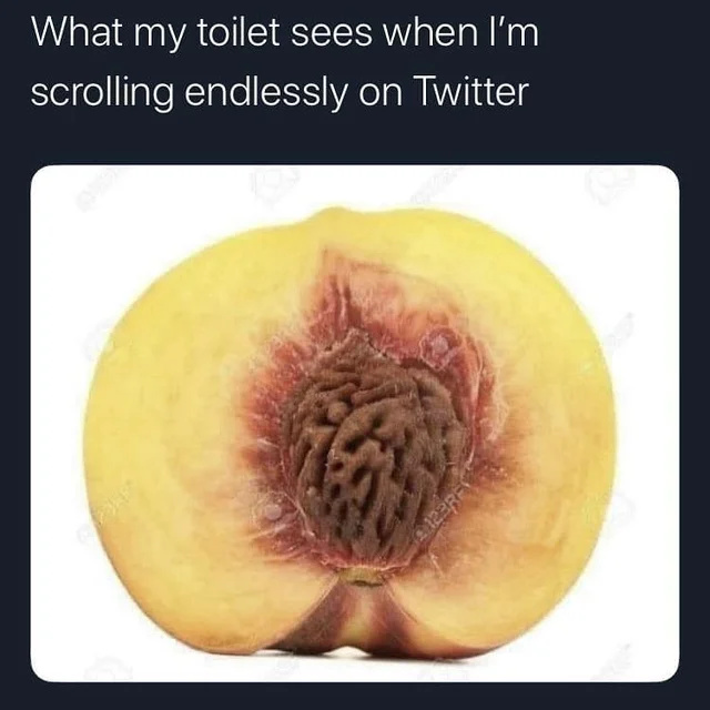 Toilet's pov - meme