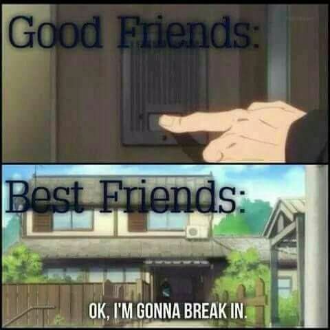 Good vs Best Friends coming to your house - meme