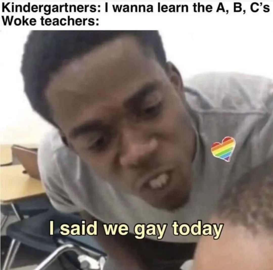 waaaaaa I wanted to talk to 6 year olds about sexuality - meme