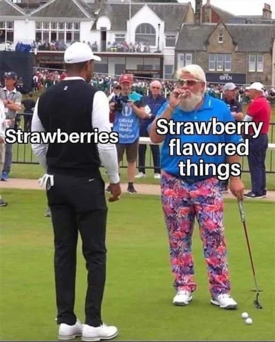 Strawberries are fvcking stupid - meme