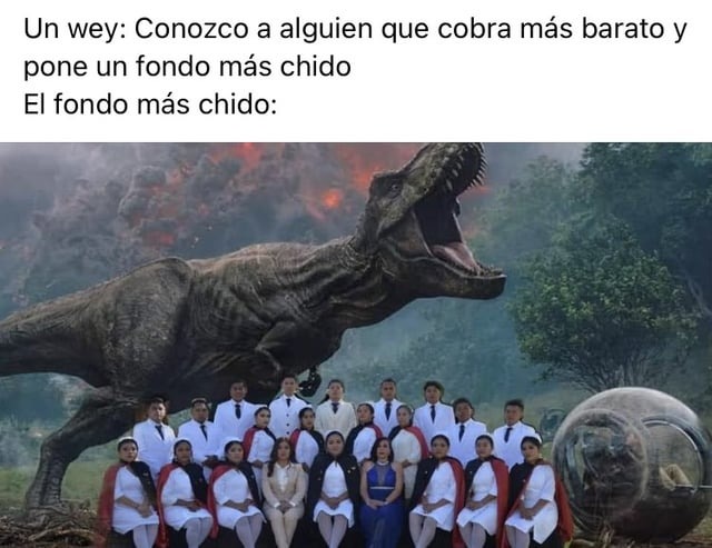 11 ideas de Fino señores  fotografías divertidas de animales, fotos de  animales graciosos, mascotas memes