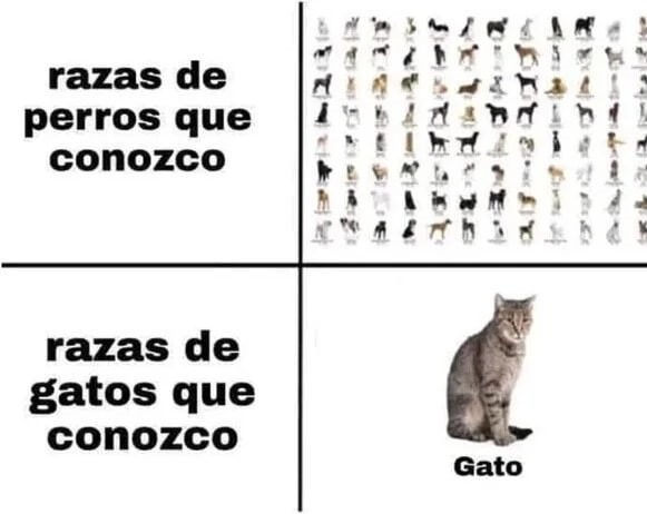 Marcas de gatos vs de perros - meme