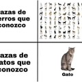 Marcas de gatos vs de perros