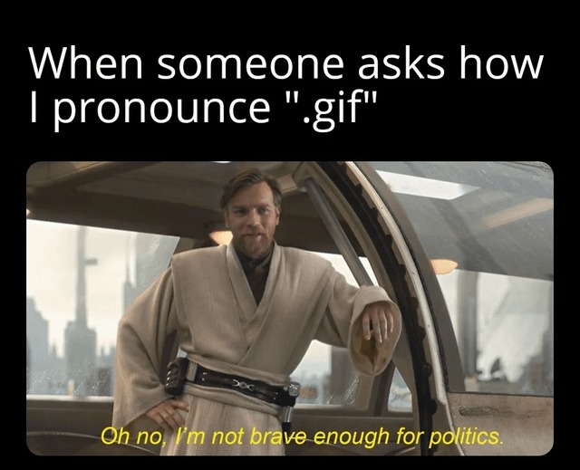 I'm not brave enough for politics - meme