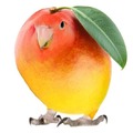 commented item thumbnail