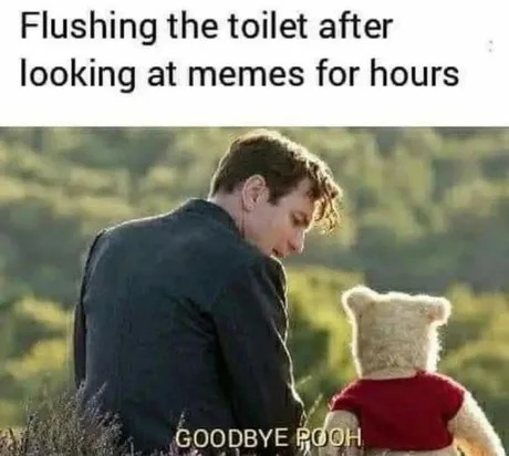 Goodbye pooh - meme
