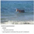 If thats a sea horse then there must be a sea lion