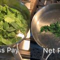 Gross pay vs net pay