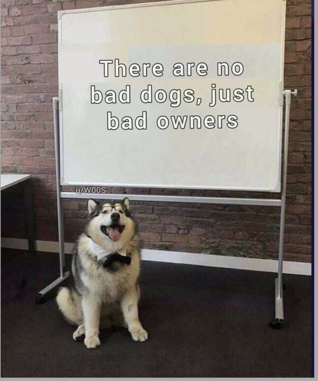 There are no bad dogs, just bad owners - meme