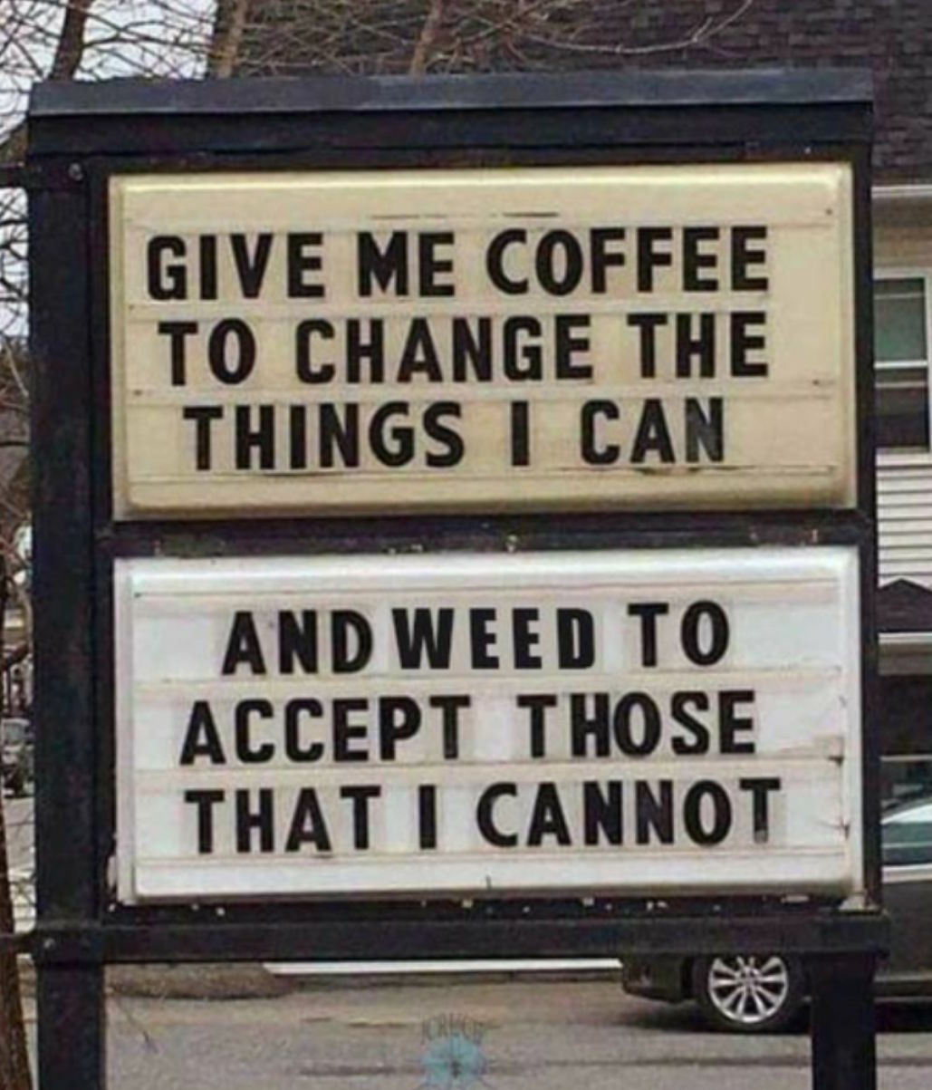Coffee & Weed - meme