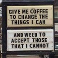 Coffee & Weed