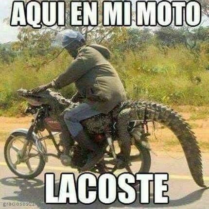 moto moto - Meme by megatoxico :) Memedroid